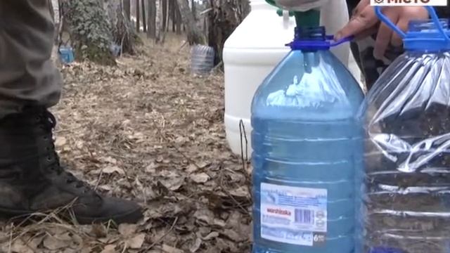Заготівля березового соку смотреть онлайн