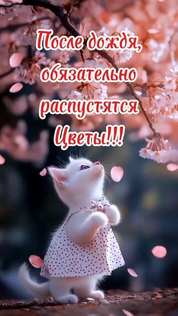 Добрый вечер. Доброе утро. ВидеоОткрытки на каждый день смотреть онлайн