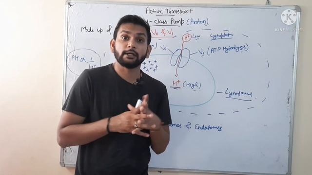 V-class Proton Pump|CSIR NET| in Hindi смотреть онлайн