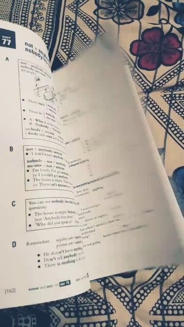 Essential English grammar book self studies reference смотреть онлайн