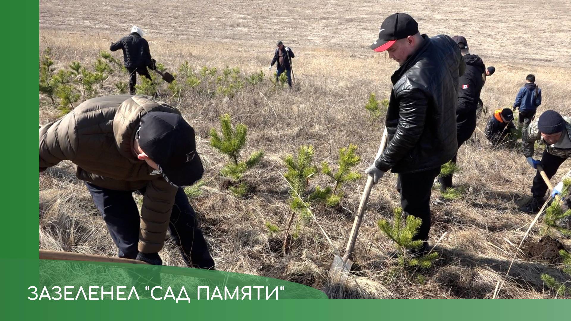 Акция Сад памяти смотреть онлайн