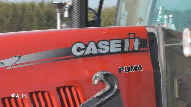 Case Puma 160 & Claas Butterfly (Kaiserhof) смотреть онлайн