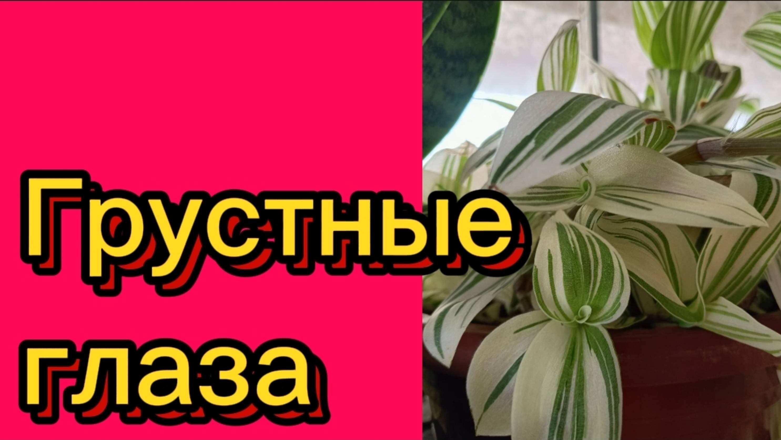 ДЕРЕВЕНСКИЙ ДНЕВНИК. "КУКУШКА" смотреть онлайн