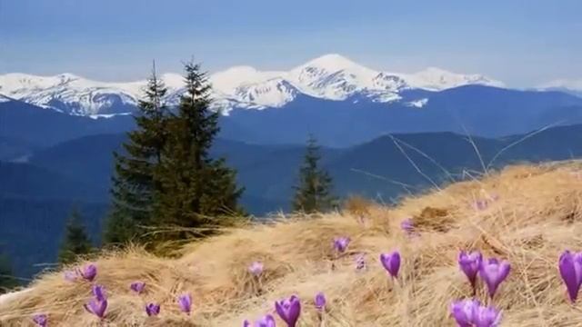 Вивальди. Времена года. Весна смотреть онлайн