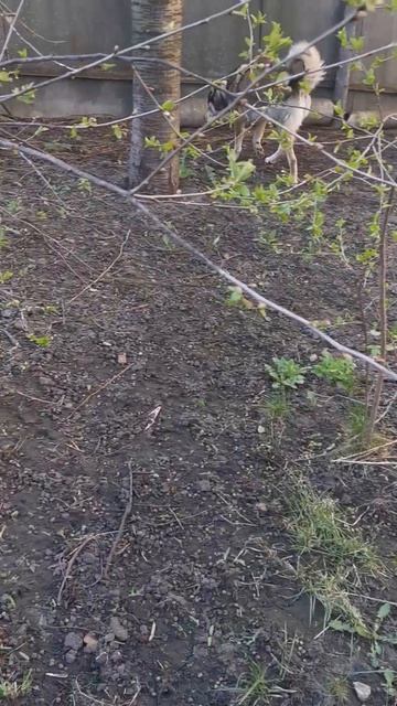 В поисках новостей смотреть онлайн