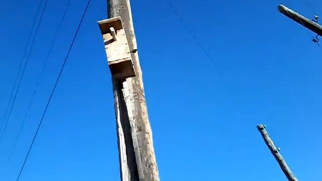 КУКУШКА смотреть онлайн