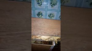 Табак Герцеговина Флор часть вторая(окончание).