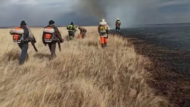 Хакасия снова борется с масштабными палами травы смотреть онлайн
