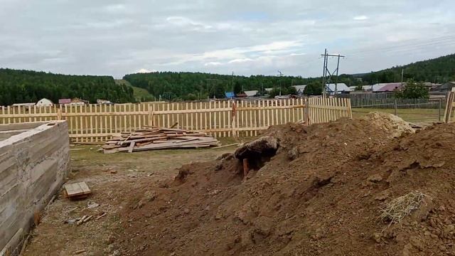 белка пришла! смотреть онлайн