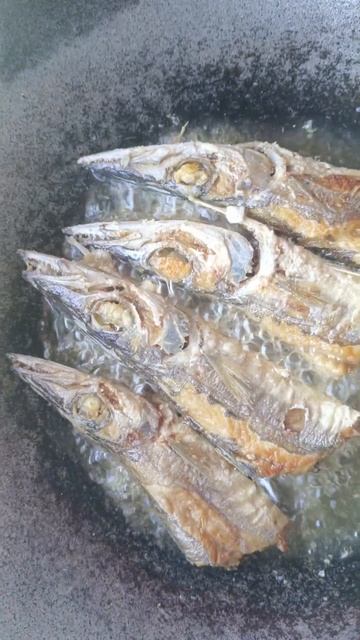 fried small barracuda fish#barracudafish #mukbang#shorts смотреть онлайн