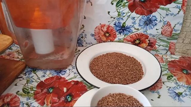 ДИЕТА ДЛЯ ПОХУДЕНИЯ ГРЕЧНЕВАЯ смотреть онлайн