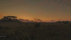 🌿 Атмосфера саванны Африки. Природные звуки для сна, учебы, релаксации