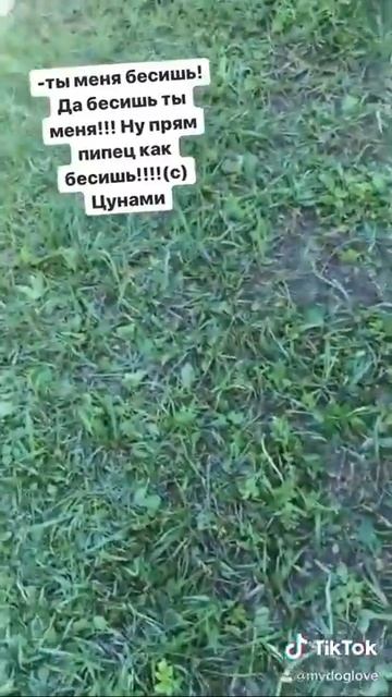 Цунами очень любит воду смотреть онлайн