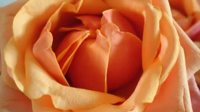 для Татьяны Ларионовой смотреть онлайн