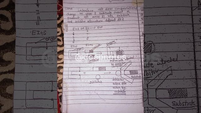 Enzyme Inhibition full note in Hindi смотреть онлайн