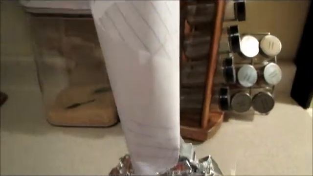 Fruit fly experiment - Day 73 (July 30, 2014) Embracing Wellness Daily Vlog смотреть онлайн