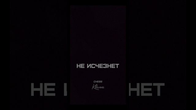 #shorts #chess #андрейбелецкий #чесс #квалиа