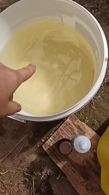ТОМАТЫ ЗАВАЛЯТ УРОЖАЕМ #совет Смешай эти 2 дешевых аптечных средства смотреть онлайн