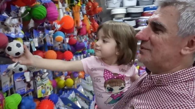 VLOG Почему я не была на видеожаре. Ищем поводок Лимону смотреть онлайн