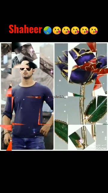 shaheer with roses смотреть онлайн