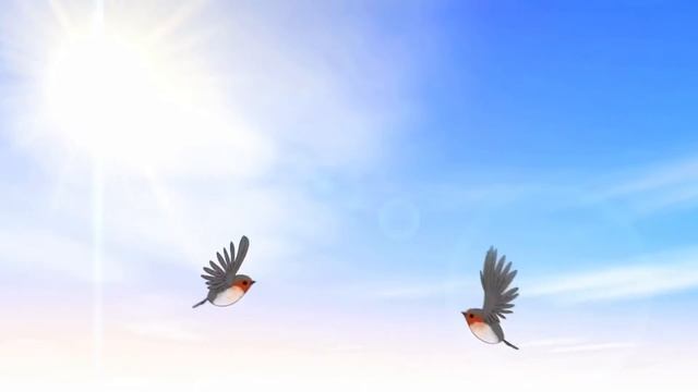 BIRDS FOR CAT ПТИЧКИ ДЛЯ КОТОВ смотреть онлайн