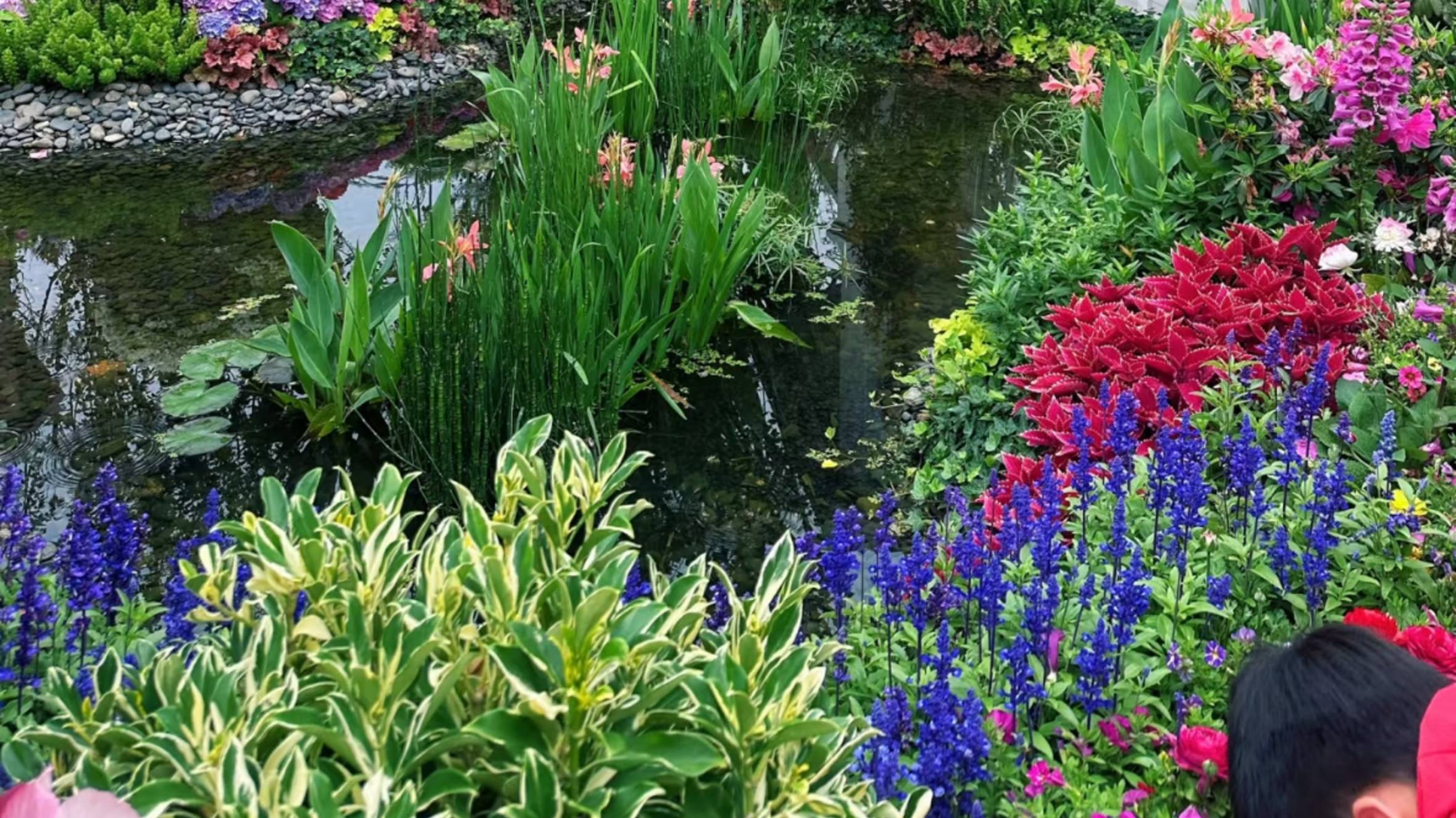 ПРОГУЛКА ПО ВЕСЕННЕМУ КИТАЮ ИНТЕРЕСНЫЕ МЕСТА ПУТЕШЕСТВИЯ ВЗГЛЯД ИЗНУТРИ #китай #путешествия #топ