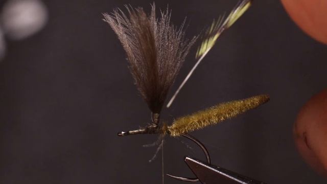 Ephemera Vulgata Dun смотреть онлайн