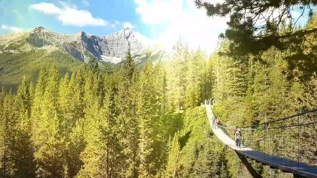 Black shale suspension bridge, Barrier Lake смотреть онлайн