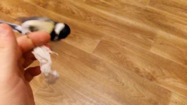 Фенька играет 2 смотреть онлайн