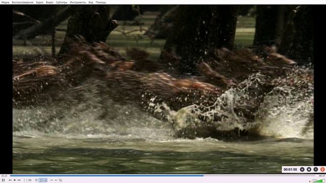 Новый проект река ГАНГ смотреть онлайн