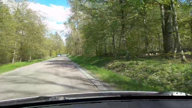#Kononowicz #Białowieża do rezerwatu pokazowego żubrów, żubr na podwórku Szkolna 17 ? смотреть онлайн