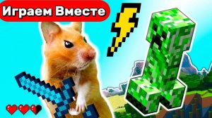 Лабиринт для Хомяка 🐹 Умный Хомяк играем в Майн Крафт ! Битва с Крипером и зомби ! Видео для детей