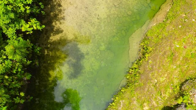 River in the jungle. Bohol, Philippines. смотреть онлайн