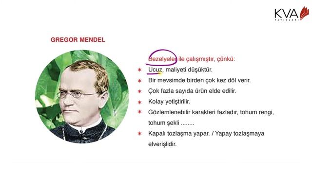 LGS Fen Bilimleri - Kalıtım смотреть онлайн