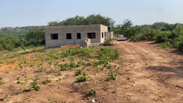 NEW LAND OPPORTUNITIES!! || 🌳🌳🇬🇭🇬🇭 смотреть онлайн