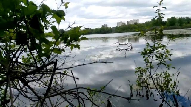 Early June in Swampy Ol' Brittania, Near the Ottawa River смотреть онлайн