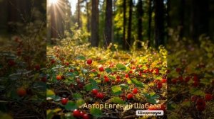 На шашлыки! Автор Евгений Шабаев 
#юмор. почти.