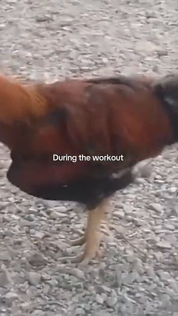 Do you skip leg day_ 👀