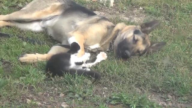 Нежность смотреть онлайн