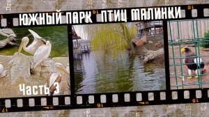 Южный парк птиц Малинки 2025, часть 3.