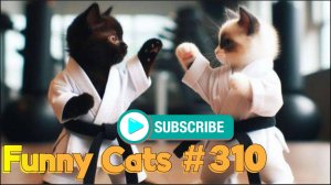 Смешные коты #310