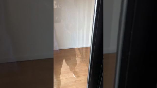 Уругвай. Монтевидео. обзор застройщика Kopel Sanchez. смотреть онлайн