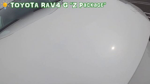 【チワワ犬ペス（PES）】トヨタRAV4 G"Z Package"納車半年後の外装 смотреть онлайн