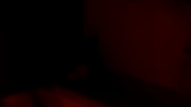 Our chinchilla is fighting.AVI смотреть онлайн