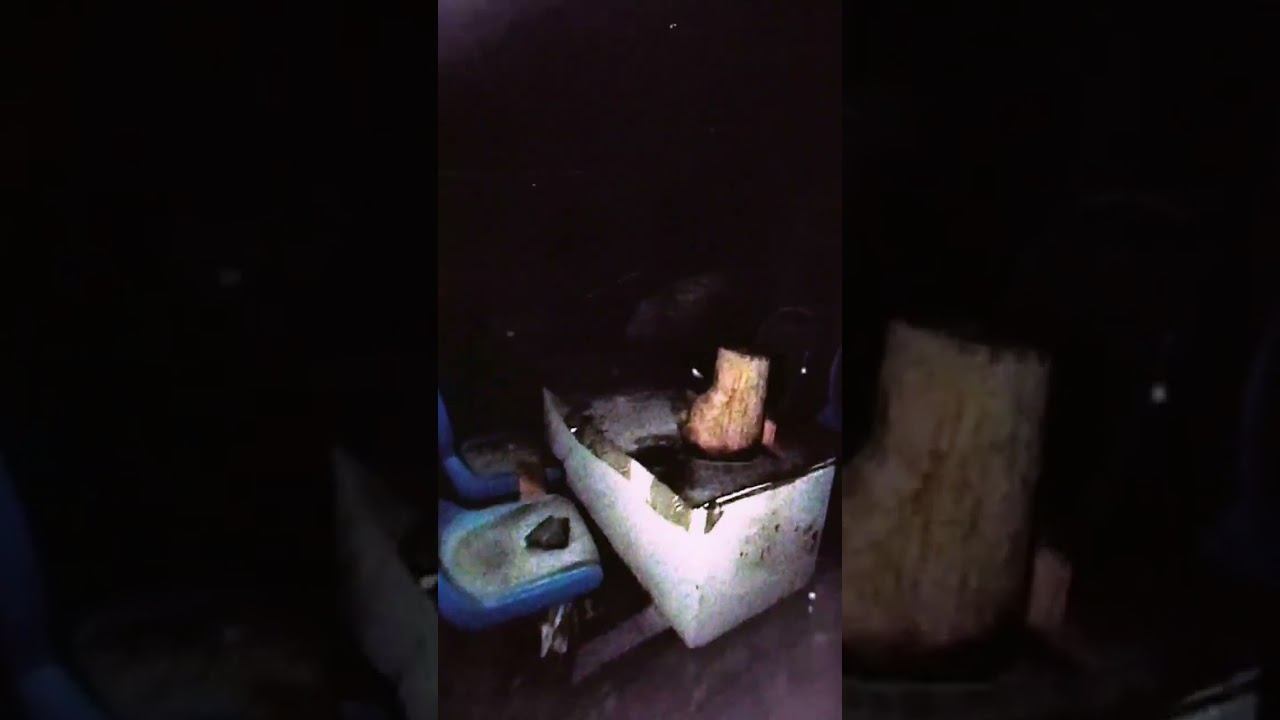 Nightfall #ryp #fyp #fypシ゚viral #fypage #ambient #aesthetic #рекомендации