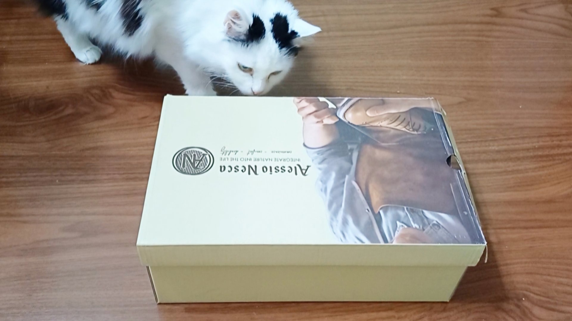 Вкусный диетический салат/Купили обновку для Василия/Наготовила смотреть онлайн