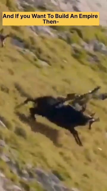 Motivational Quotes For Student 2023 || смотреть онлайн