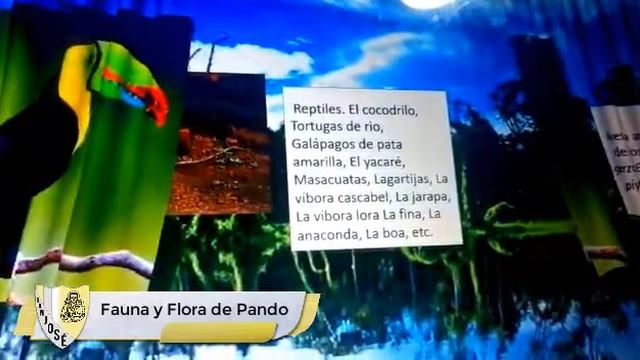 1ro DE SECUNDARIA FAUNA Y FLORA DE PANDO смотреть онлайн