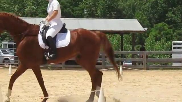 First Level Test 1 - Scored 64% (first place) смотреть онлайн