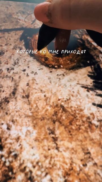 В этом видео мы погружаемся в процесс появления идей, которые воплощаются в уникальные произведения смотреть онлайн